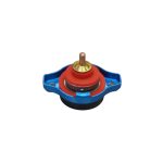 Tapa de radiador con reloj D1 Spec 0.9 Bar - Imagen 2