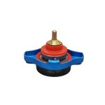 Tapa de radiador con reloj D1 Spec 1.3 BAR - Imagen 6